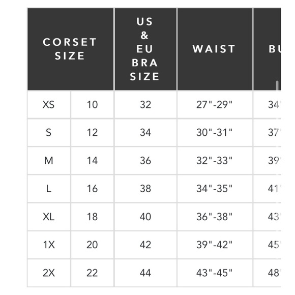 NWT Frederick’s of Hollywood Dream Corset - Picture 5 of 6